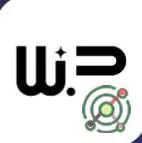 Wizy.Pro
