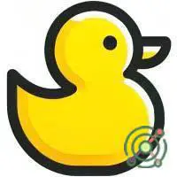 Duckie.ai
