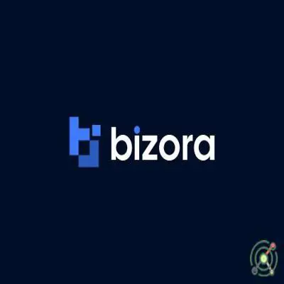Bizora Inc.