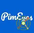 PimEyes