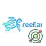 Reef.ai