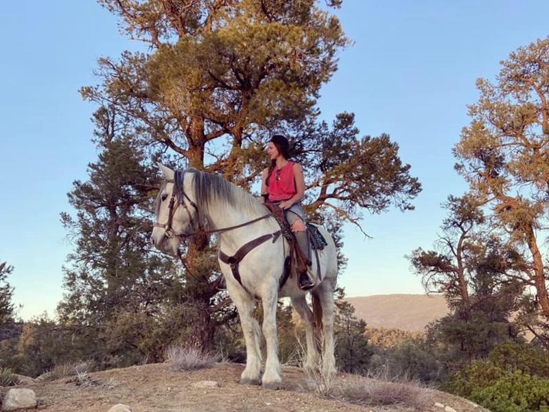 Los Padres National Forest - Majestic Horseback Riding in the calm of the wild - 90mins from Los Angeles