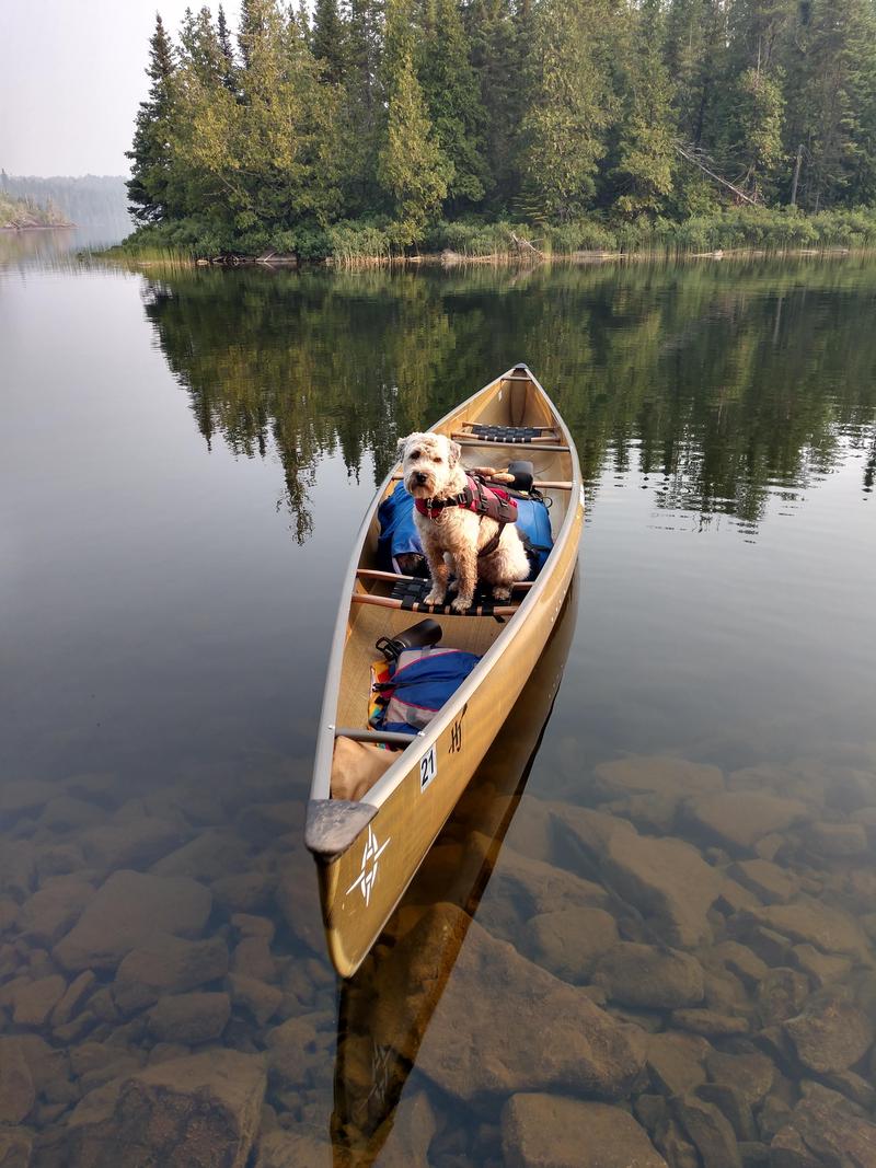 Superior National Forest - The Perfect Campsite 