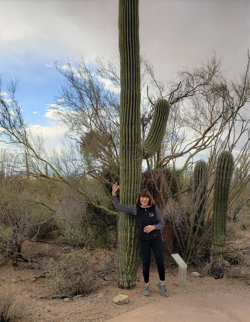 Saguaro National Park - Saguaro National Park—A Place to Let Your Mind Wander