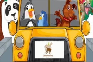 Early pick up (before 3pm)