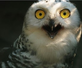 RamblingBeachCast.com