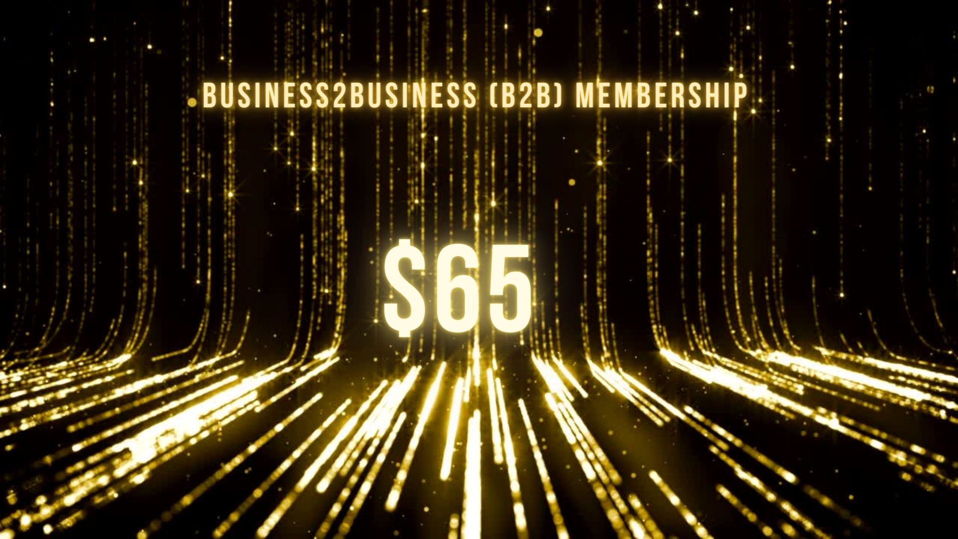 B2B Membership Invoice